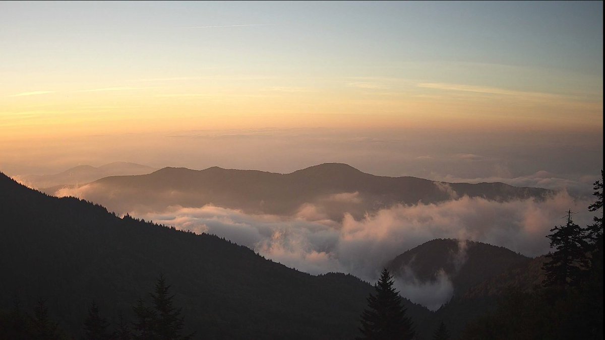 MeghanDanahey's tweet photo. Good Wednesday morning from 6,684'! I love the "undercast" view from Mt. Mitchell this morning. Hot summer temps return today &amp; hang around through the weekend before cooler weather next week. Rain and storm chances are very low this afternoon. #wncwx #avlwx #ncwx @WLOS_13 https://t.co/letHqS6FmN