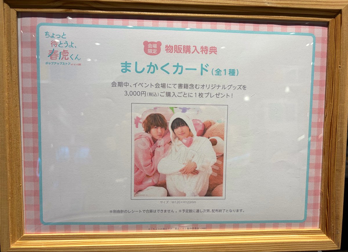 ms_hamamatsu1no's tweet photo. 【ちょっと待とうよ春虎くん】

#ちょとら オリジナルグッズ
✨🫧明日9/17より発売スタート🫧✨

書籍を含む対象商品を
税込3000円以上ご購入ごとに
『ましかくカード』（全1種）をプレゼント🎁
※レシートの合算はできません

浜松市野店ではスタンディもあります🫶
#中川翼 #桜木雅哉 #あめきり https://t.co/oPpxH0Tw6j