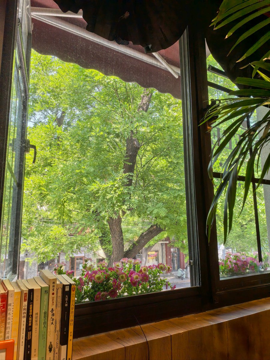 zzaas29's tweet photo. Got these barely-used books and a vintage desk lamp I no longer need. Clear out the clutter, give them a new home, save some space, and make someone happy! https://t.co/jIPkOeJSdb