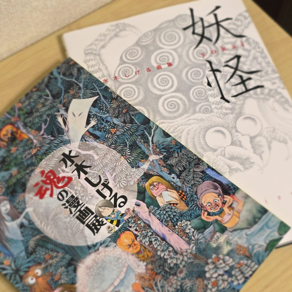 uni_asuka's tweet photo. 物販にあったからこの機会に買っとくか！思て画集買った！
図録ボリュームあって作品が綺麗に見れてうれしい！ https://t.co/J1VDPnTU2Q