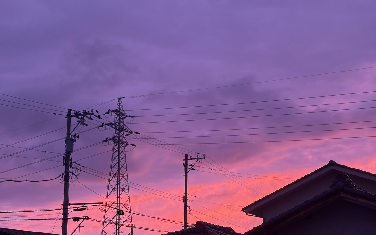 Gyogyogyo2222's tweet photo. とても綺麗だったので撮っちまいました https://t.co/N7vocSzky1