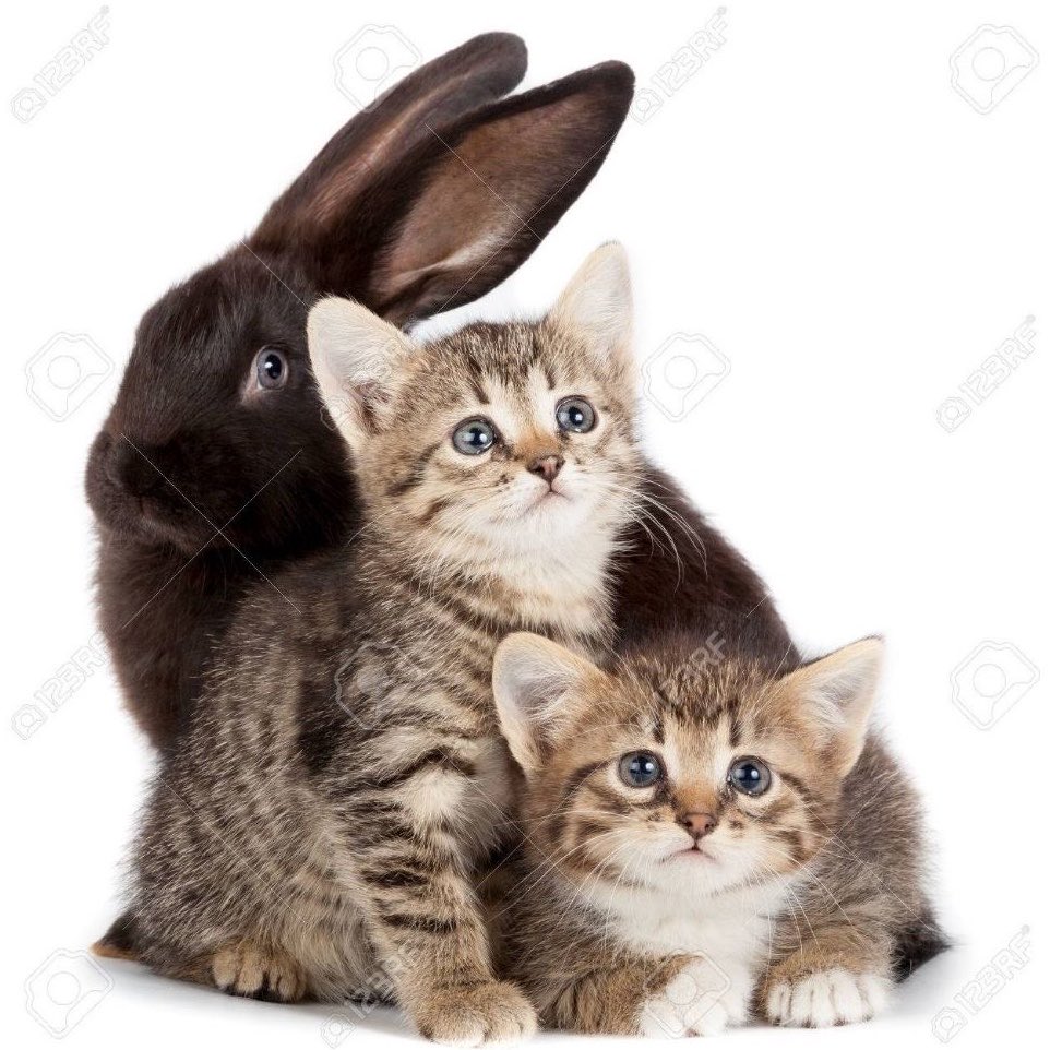 phyeoni's tweet photo. when you have friends ꒰>ヮ<꒱ https://t.co/JZ66BOU12R
