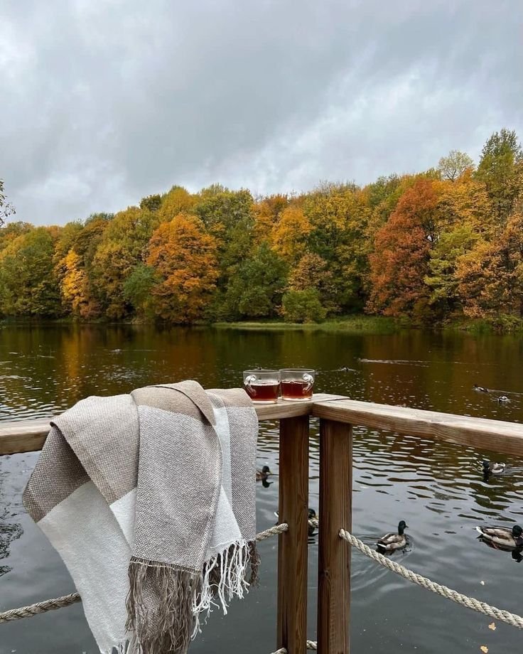 beauti_animals's tweet photo. autumn 🍂 https://t.co/woUVYJVYUG