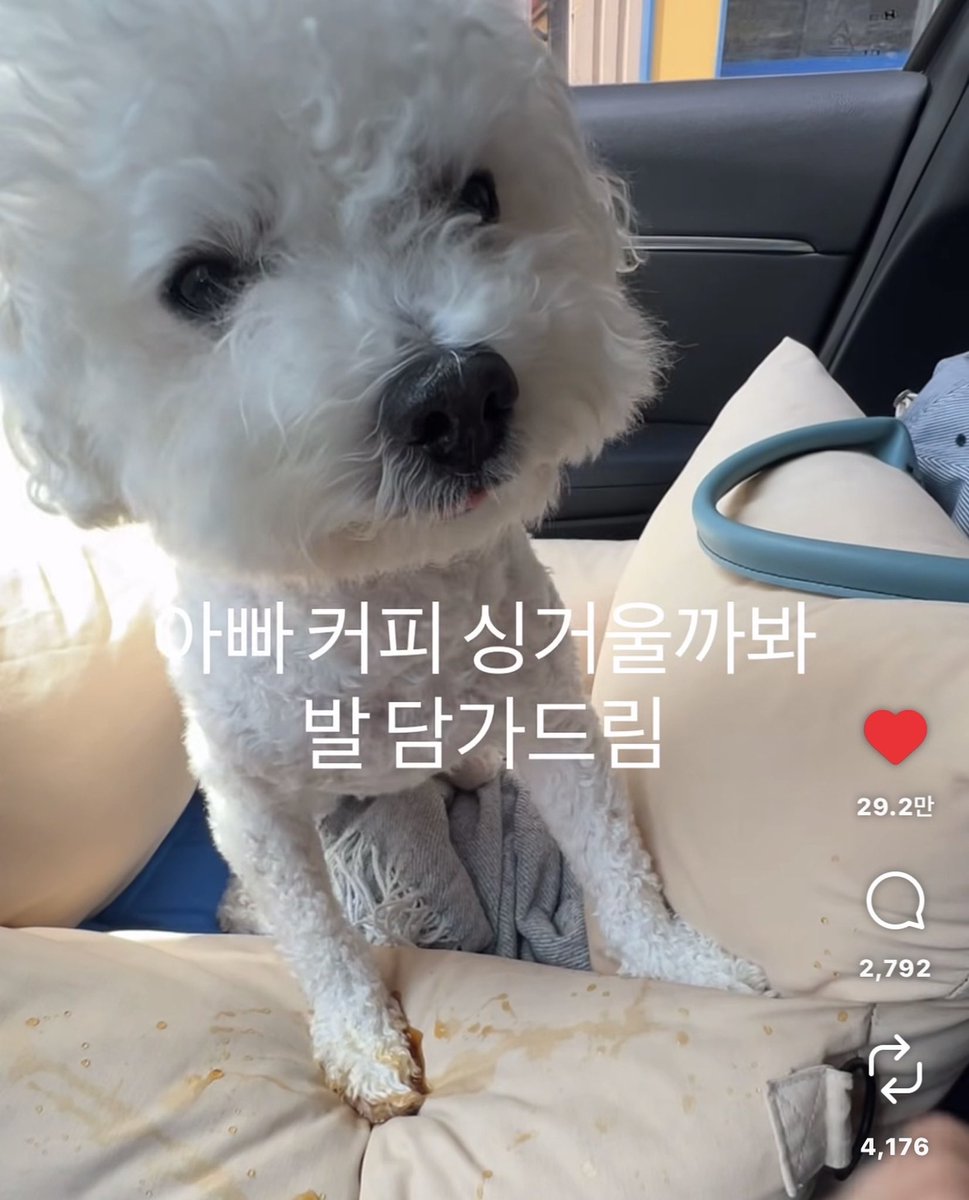 wcj0uv's tweet photo. @biteitsowntail 세혁 이 강아지 https://t.co/IUjCbig6XP