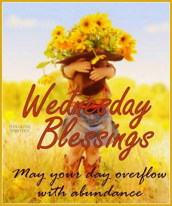 LoveSweetNancy's tweet photo. https://t.co/Q6gFn8F0bf