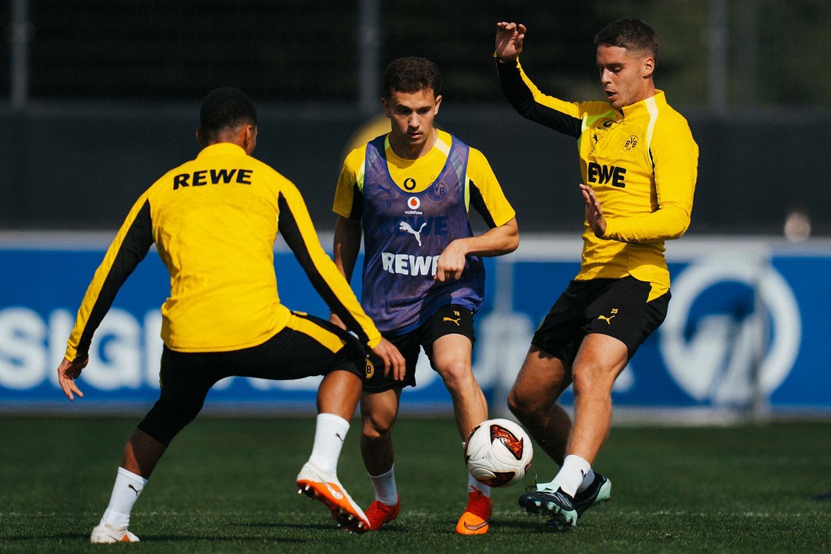 bvbnewsblog's tweet photo. 🇬🇷📸 Konstantinos Karetsas is back in team training.

🗞 @BVB 

#BVB https://t.co/r3m7lpBy8W