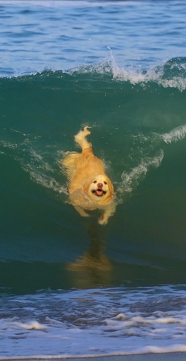 MFchanders's tweet photo. Work at 230pm going to bed now at 4:50ish am.  

Also here's my favorite image today, goodnight https://t.co/fiaMEBCXOS