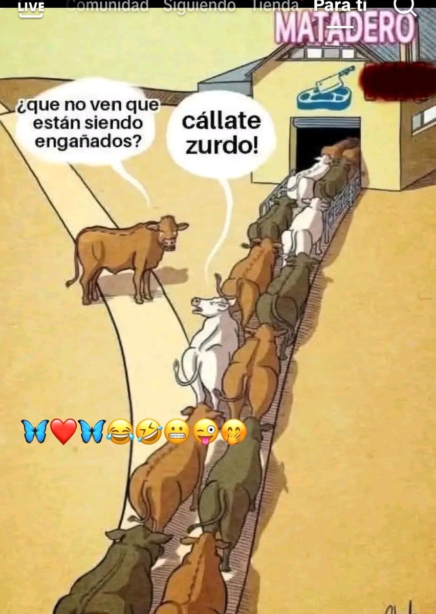 diobizkaia's tweet photo. Ejemplo gráfico de los sbnmales q son los votantes de derechas.
Y lo peor es q nos arrastran al resto por su pvta ignorancia. https://t.co/YRoPfs5Th1