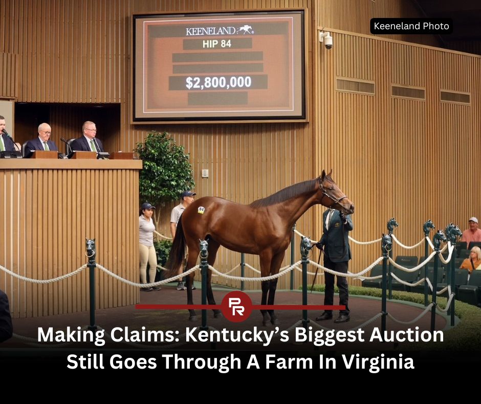 paulickreport's tweet photo. The most important moment of the 2026 Keeneland September sale happened in 2011. Seriously

That's when the Edward P. Evans dispersal sent world-class bloodlines across the industry. The ripples are felt through top sire Gun Runner &amp; a slew of mares

More: https://t.co/5FLQFuhhpX https://t.co/uyCnHQZLIJ
