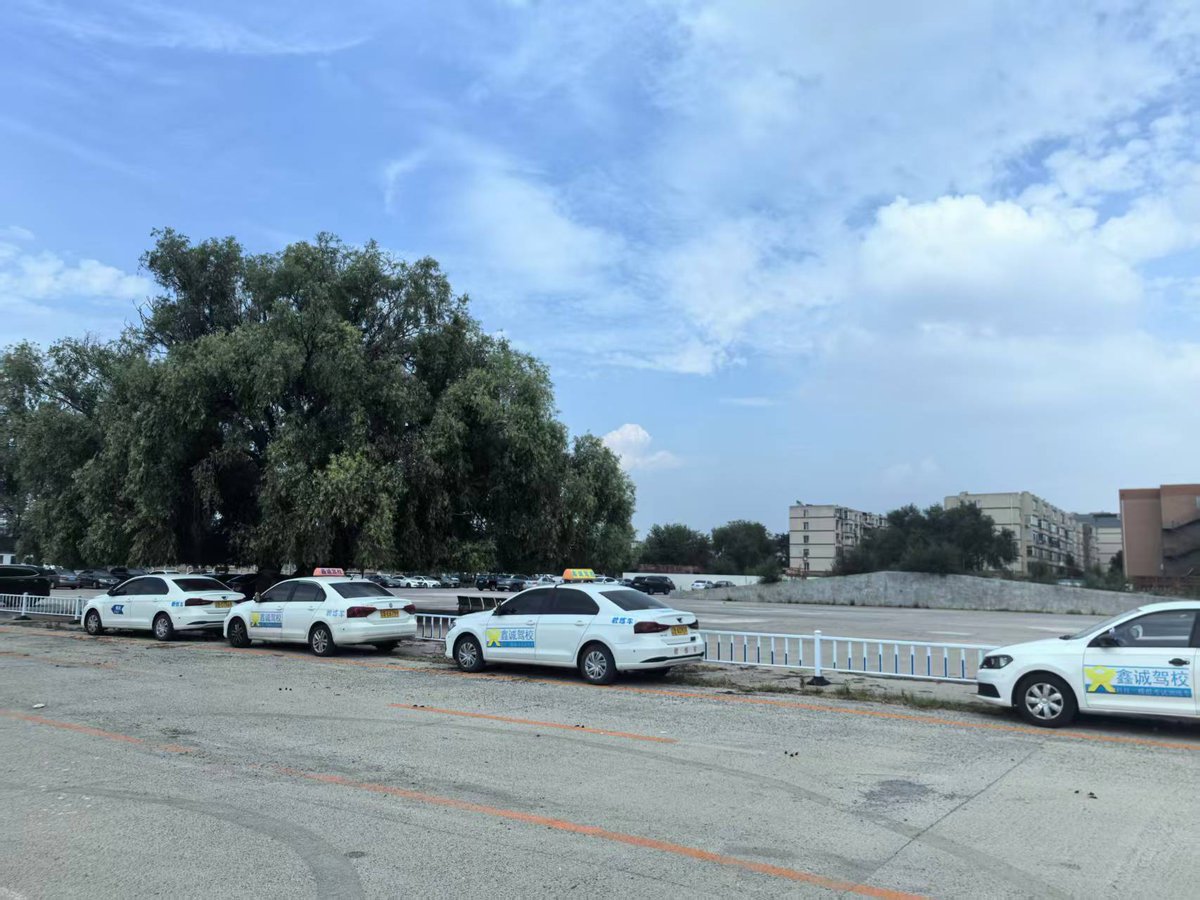 OdiliaHausqbf's tweet photo. Just aced my first parallel parking lesson today! No more swerving into curbs—my instructor’s patience is actually rubbing off. Feeling way more confident behind the wheel. ， https://t.co/ChBnSvwpeE