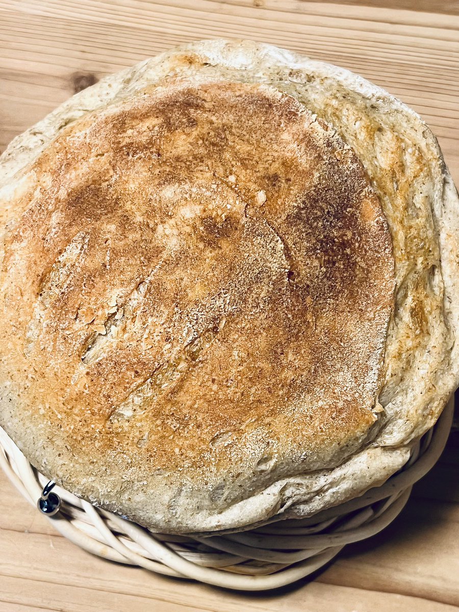 diskooloop360's tweet photo. 🥖、ドライイートは楽ですね〜🌾 https://t.co/Bu7TFEVkck