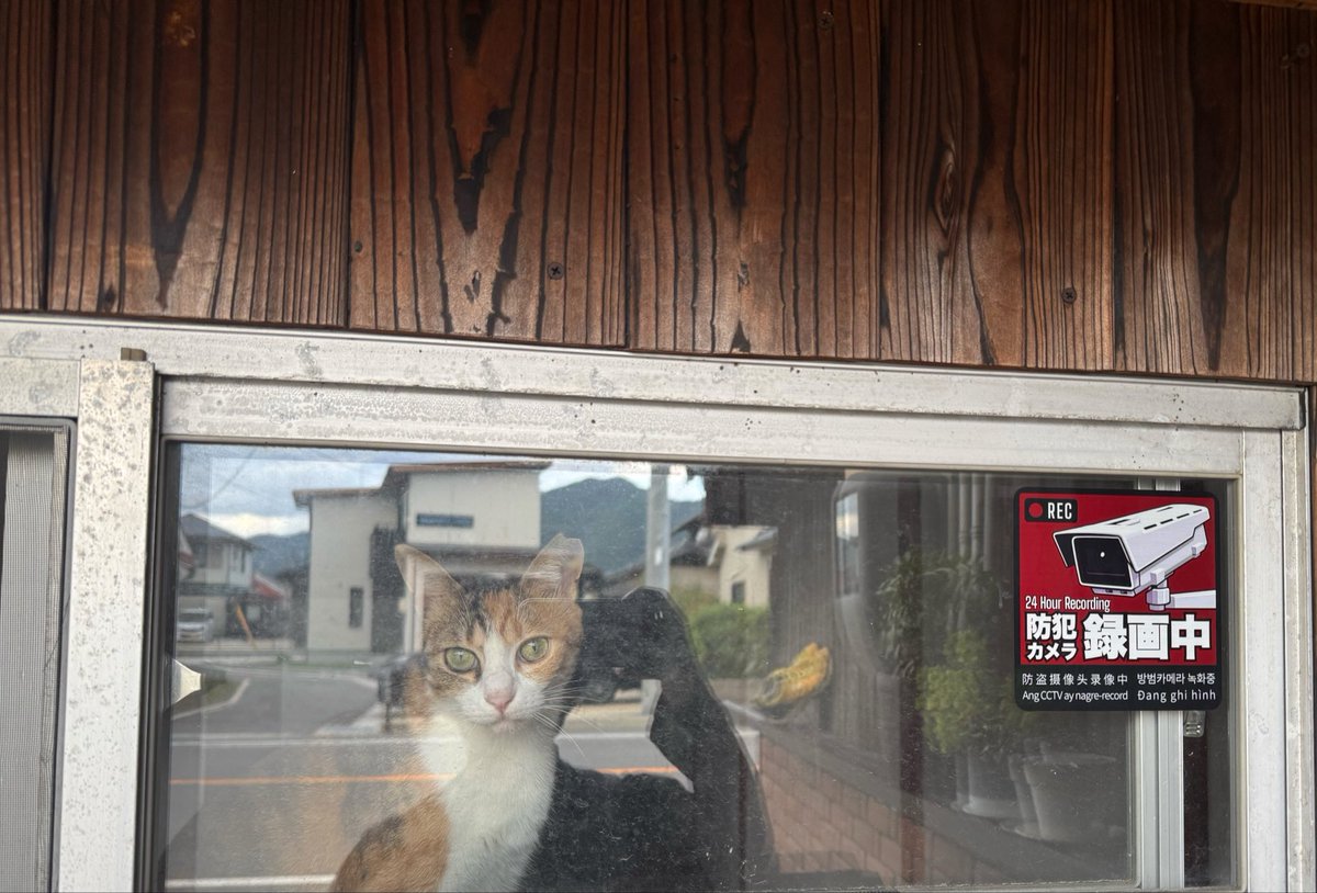 vllvAvllv's tweet photo. 我が家の監視カメラ https://t.co/Z9y2Sb6td2