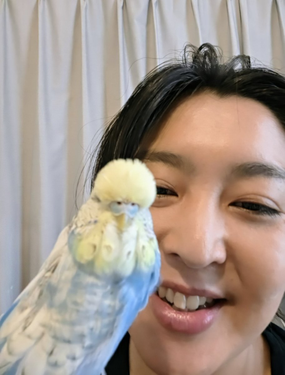 oza888o's tweet photo. 今日はそらまめと出会った2周年記念✨️

病気の中でも毎日元気に過ごしてくれて、
一緒にいてくれてありがとう。

願わくば、勝手に約束した20年一緒にいようを実現するため
あと18年は一緒にいたい。

これからも、よろしくね。 https://t.co/PmbZgRKfjy