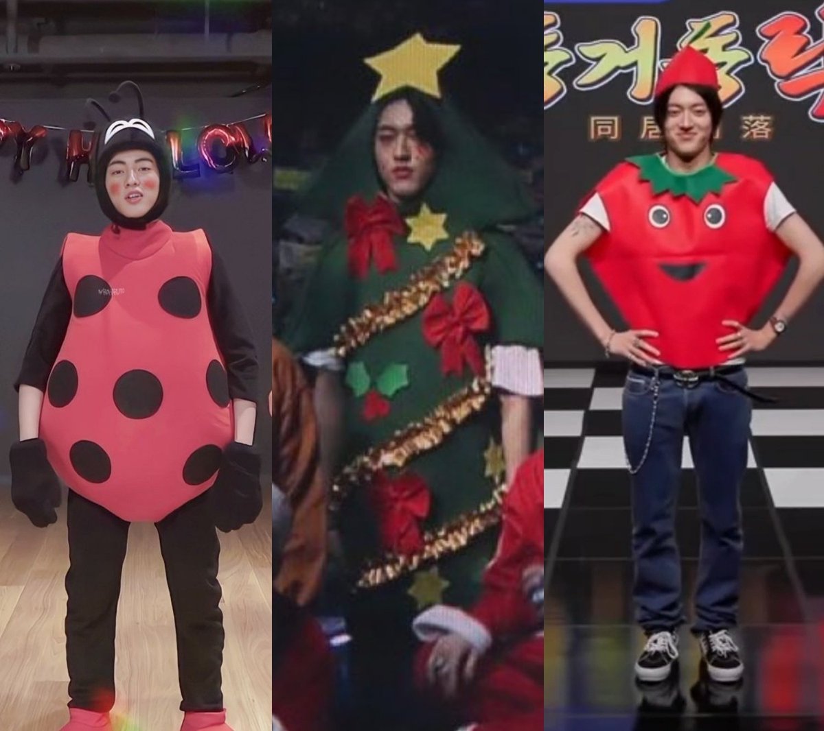 rutoshxxbin's tweet photo. macam-macam haruto : 🐞 🎄 🍅 https://t.co/deVgv9SMTt