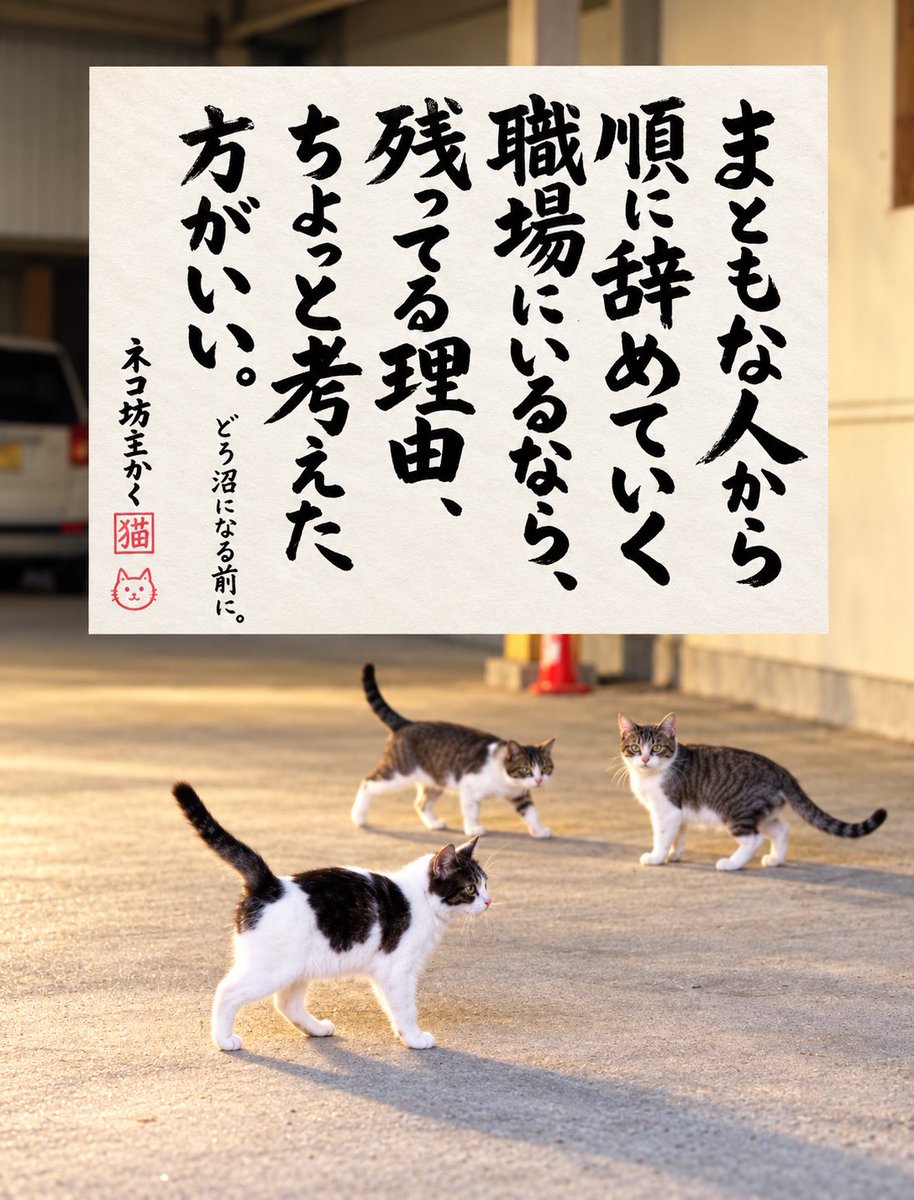 yabumoto610's tweet photo. ネコさんから人間さんへ今日の一言 https://t.co/qQxIYMmaj2