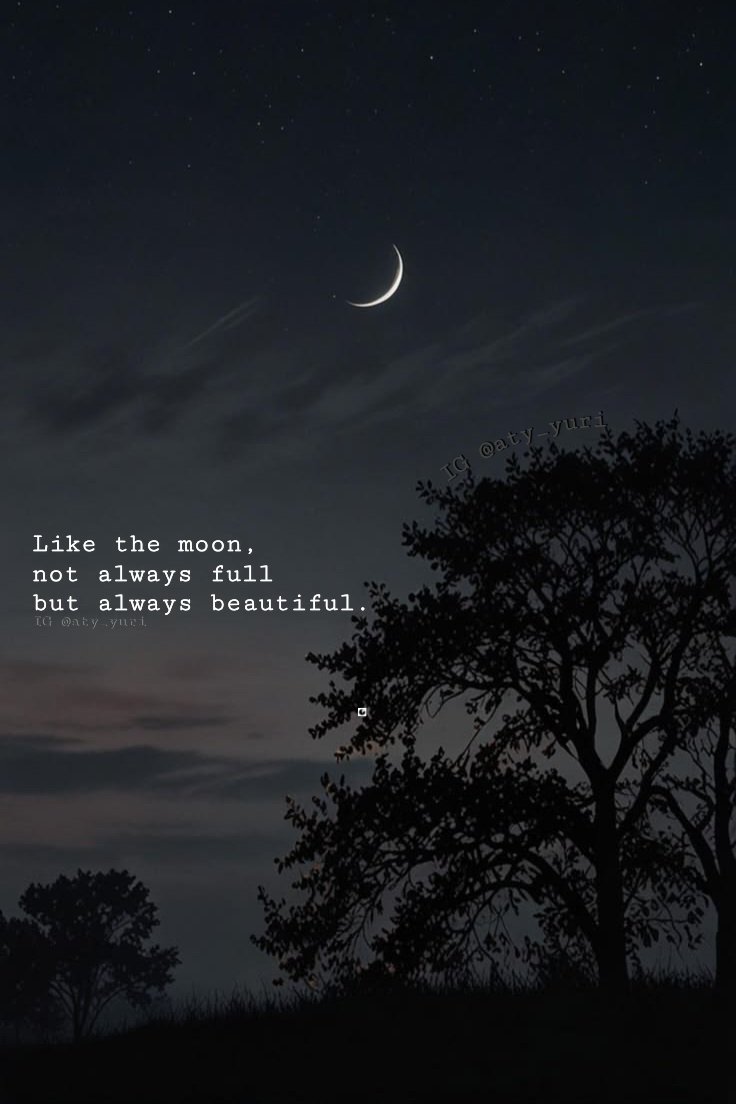 aty_yuri's tweet photo. Bulan adalah pengingat bahwa hal² yg paling indah pun bisa menjadi tdk sempurna, namun tetap memesona.

Setiap tahap dalam kehidupan memiliki arti &amp; pesonanya masing², bahkan dalam gelap sekalipun.
⚘️ https://t.co/W9hNossj1g