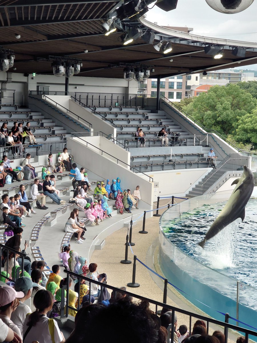 cocca_cocco's tweet photo. 鉄道博物館が休館日で予定外の水族館。入ってすぐオオサンショウウオのサンドイッチに癒され遠足に来てた園児達に囲まれて癒されクラゲに癒されまた園児達に囲まれて癒されイルカショーで最前列のレインコートを着た園児たちに癒され最後にレジの「ゴマフアザラシの寝顔が最高」を発見して最高の一日✨ https://t.co/nLXt44zThF
