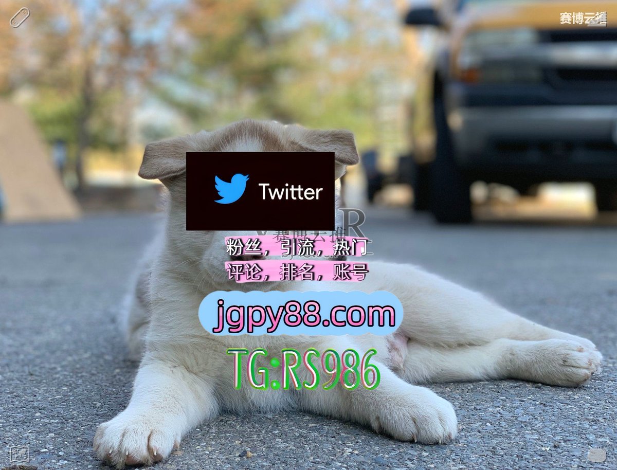 KAORI88720476's tweet photo. 生活就是一边努力一边收获一边成长⚙
推特账号购买批量发帖、多账号管理、推广营销 
关键词霸屏🧳熱門🌈权重号🌟推特老号🍄定時發推💐 上热门 赤壁霸屏🪐群发私信💐海外获客🍀
多账号管理、批量发帖、内容同步河间 点赞号
推广汉川 粉丝号🎼 https://t.co/Z6f5lHE2J3