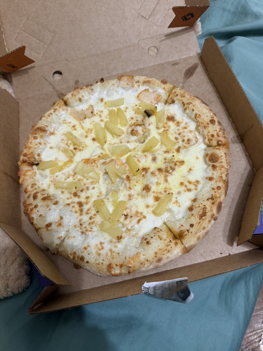 rexzyyqwq's tweet photo. the best pizza 🍍 https://t.co/l8EZlIttXH