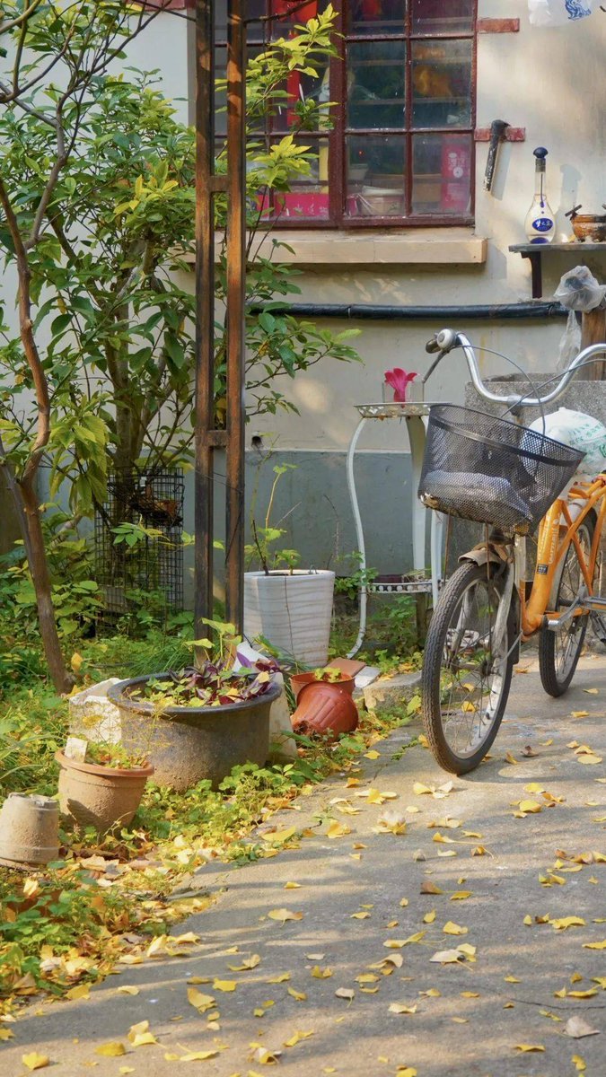 SandeeSobeisgm's tweet photo. Random street snap in the old alley—autumn leaves stuck on a bike, local grandma selling homemade sugar cakes in the sun. https://t.co/INnBhR910C