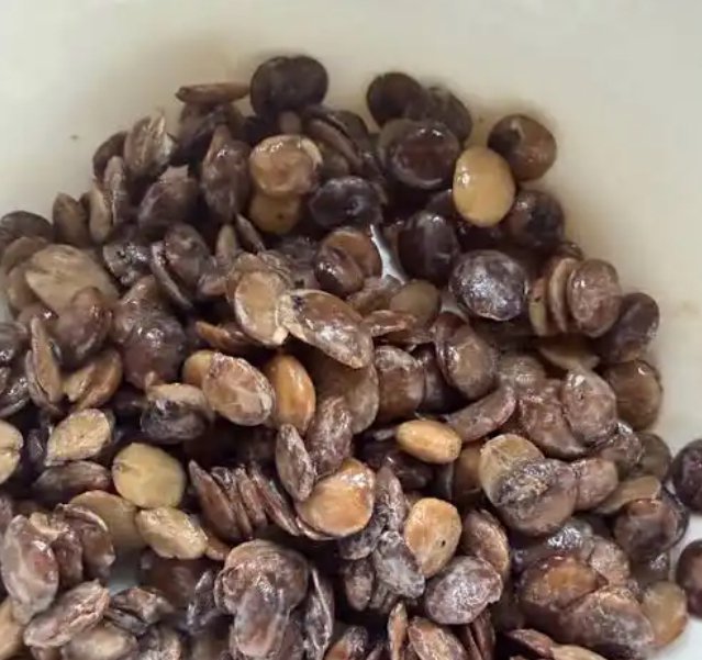 AkeemSalak97962's tweet photo. Bondage Breaker 
(Atude)

Cold Ash that's collected from a traditional firewood stove (Eeru ikasi), African locust beans with distinct seeds that doesn't have salt(iru woro ti ko ni iyọ), pound the 2 items with native black soap,... https://t.co/pXegi9paFC