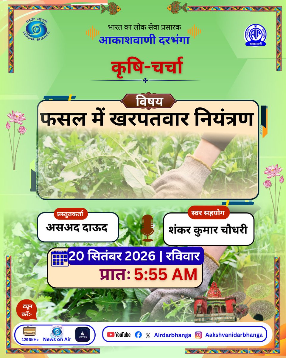airdarbhanga's tweet photo. खेत की नियमित निगरानी, समय पर निराई-गुड़ाई और आवश्यकता के अनुसार उचित खरपतवार नियंत्रण विधियों को अपनाकर फसल को स्वस्थ रखा जा सकता है। किसानों के लिए फसल और स्थानीय परिस्थितियों के अनुरूप समेकित खरपतवार प्रबंधन अपनाना उपयोगी होता है।
#WeedManagement #WeedControl #CropManagement https://t.co/d94kcIAsfE