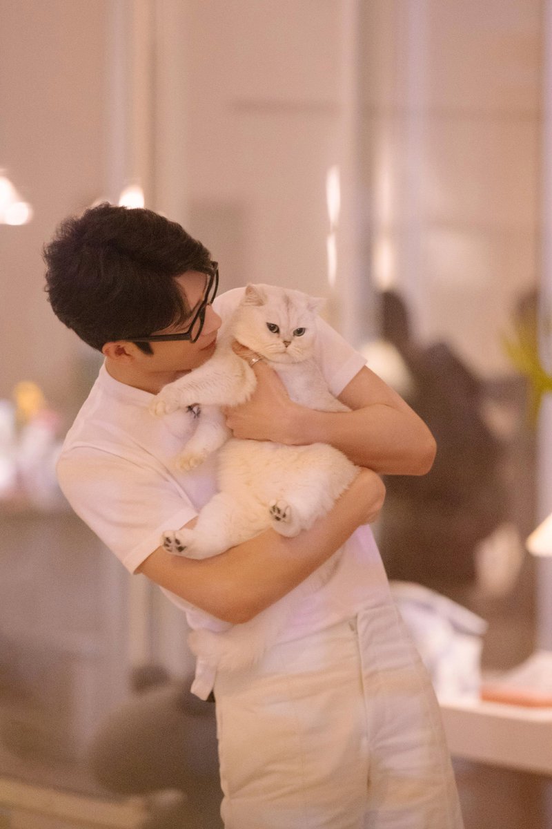 telorcupluq's tweet photo. 🐱🤍 https://t.co/1SSXI0sOTY