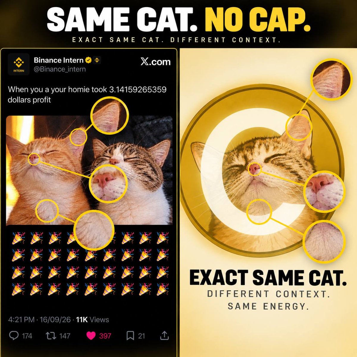 travladd's tweet photo. The Binance intern posting the same cat breed as $CATE 👀🔥 https://t.co/ICApue8rV7