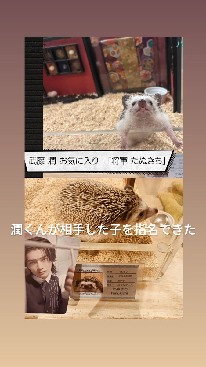 tcuuu9's tweet photo. 記録 2026.06.23

🦔☕ ❤️🤍

https://t.co/8LnGmXsftJ https://t.co/64Ky80enXx