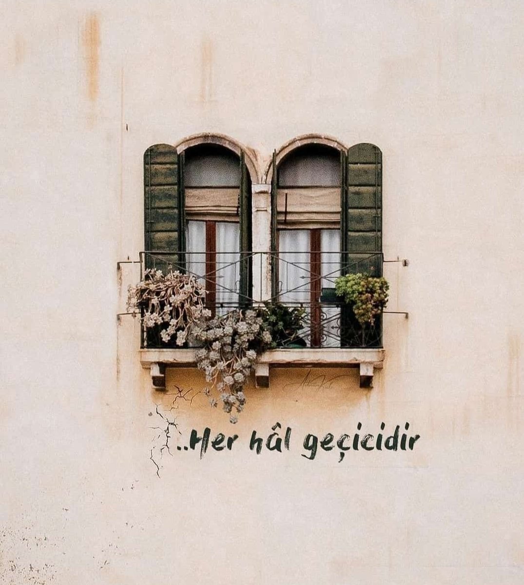 bvildankaraca's tweet photo. https://t.co/xbgT6Be5CH