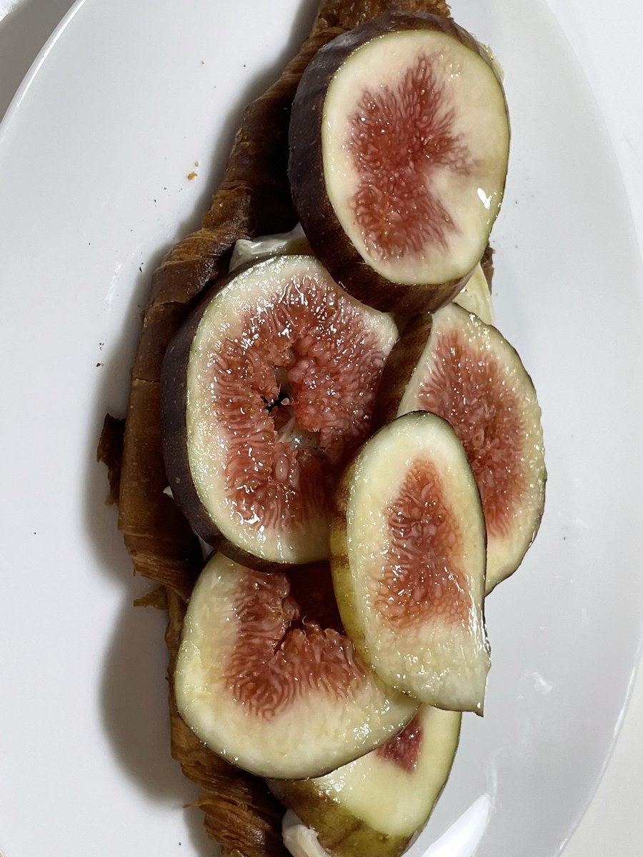 kagami_voice's tweet photo. いちじくのオープンサンド作った。間に合った😊チーズ薄めが正解だね。焼き加減ドキドキだったけれど食べたらサクサクだった(๑╹ω╹๑ )いえーい。気になってたレシピ作れて嬉しい。まだいちじく残ってるからどう食べよう。 https://t.co/5iOIjffbOm