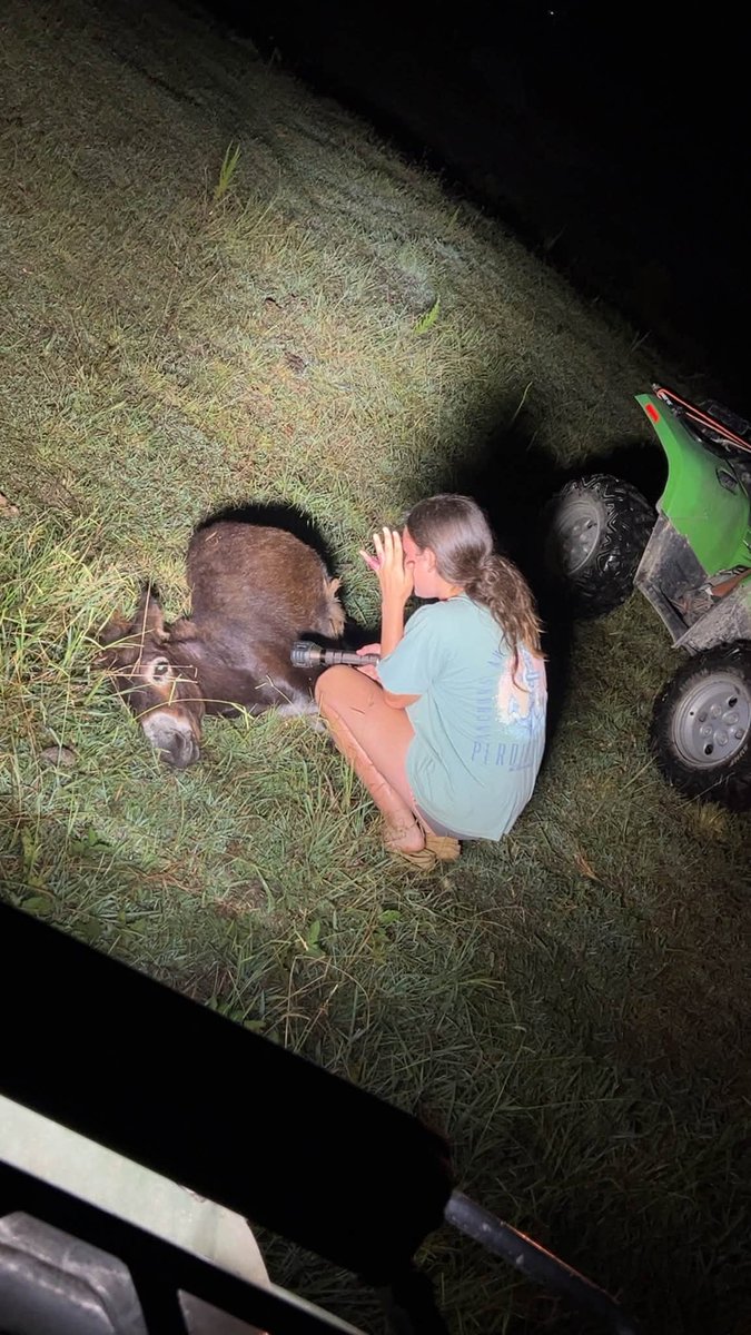 TheRealMadOx's tweet photo. HeeHaw Lawsuit Update:  A federal lawsuit just laid out, paragraph by paragraph, exactly what the officer who shot HeeHaw is accused of doing.

Rockmart, Georgia. Hannah Israel filed suit September 11 against Officer Trenton Ryan Garner and the Cedartown Police Department. The complaint says Garner entered her enclosed pastureland after 10:30pm searching for a missing person who was never found there, with no warrant, no consent, and no exigent circumstance. He encountered HeeHaw, described in the filing as young, small, and tranquil, posing no threat to him, any officer, or the K9 on scene. He shot and killed the donkey anyway.

The complaint says officers left HeeHaw's body on the property without telling Israel where to find it. She was only told over the phone that a donkey had been "dispatched." She and a minor child searched the dark pastureland for hours before finding the body themselves.

She's suing under the Fourth and Fourteenth Amendments for unlawful entry, unreasonable destruction of property, and deprivation of due process, plus punitive damages.

A donkey that never threatened anyone is dead, and a child had to help search for the body in the dark because nobody bothered to say where it was.

H/t Federal complaint https://t.co/03T4VknySw