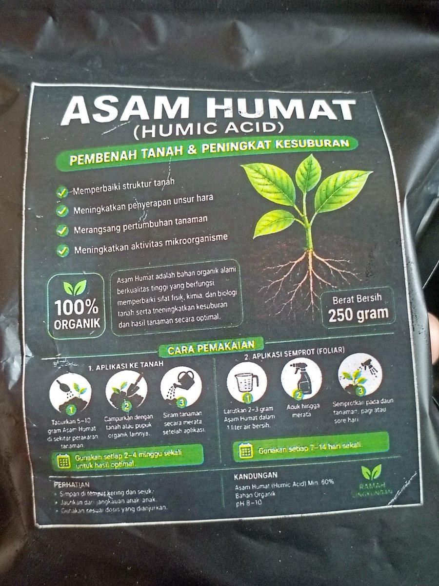 Romadebrian's tweet photo. udah lebih setahun bercocok tanam.
malas bongkar pot mending perbaiki aja tanahnya biar gembur lagi pakai asam humat https://t.co/WSr1M3InsS