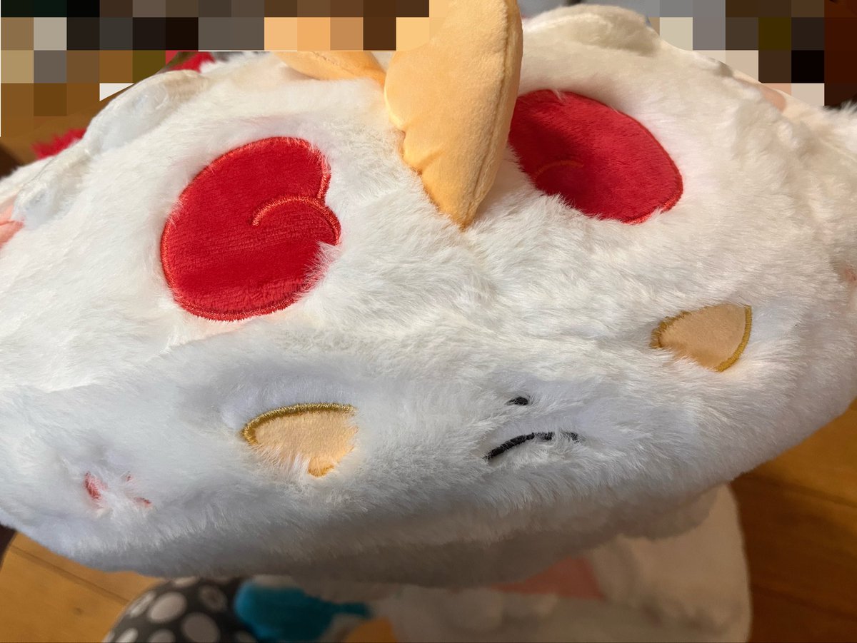 H_0mE2's tweet photo. うすくひらべったい姿 https://t.co/eJreUHPtWK