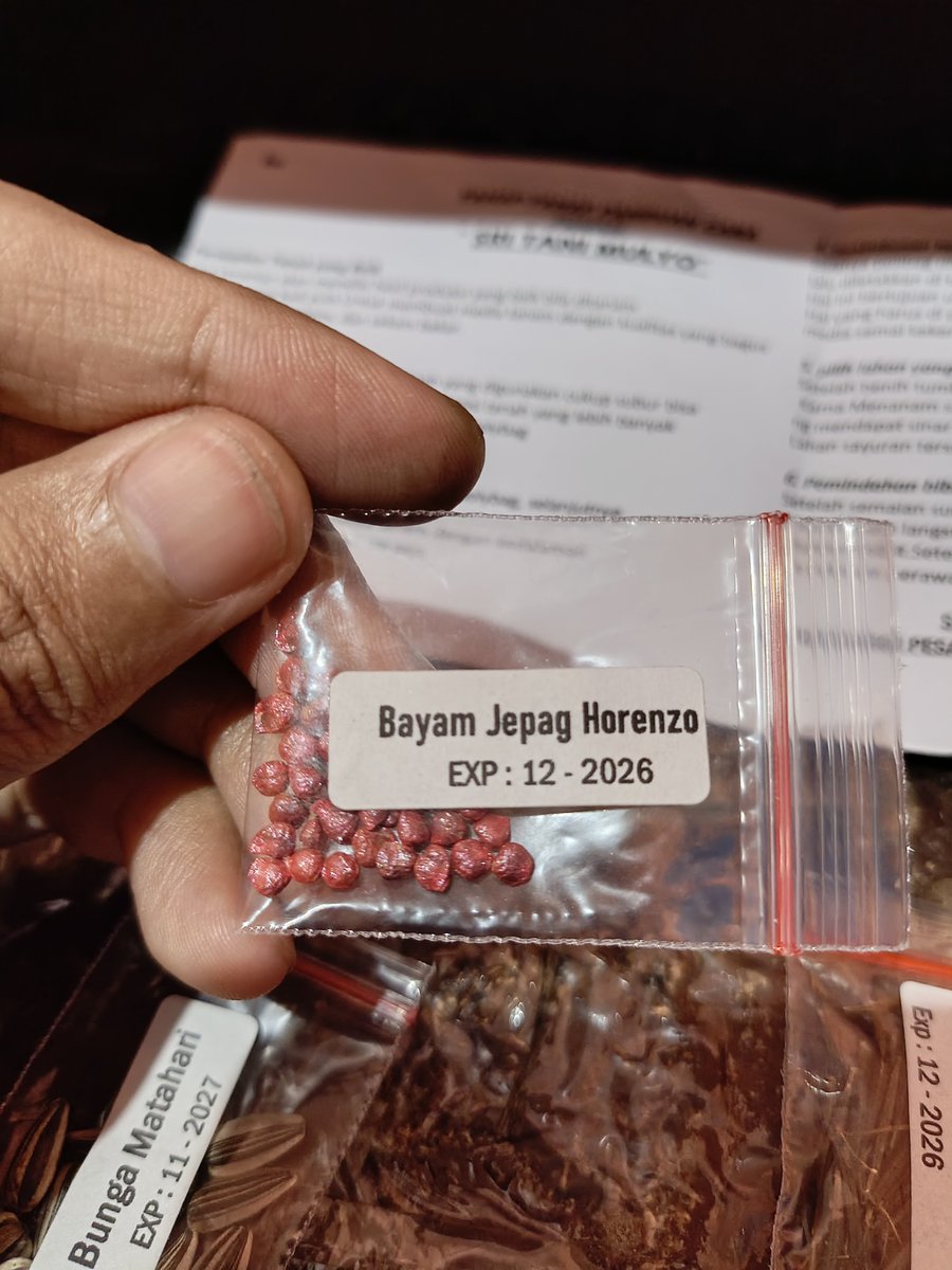 Romadebrian's tweet photo. nyoba nanam bunga matahari, bayam merah, marigold, kenikir, sama seledri. https://t.co/SJ2okqn3X9