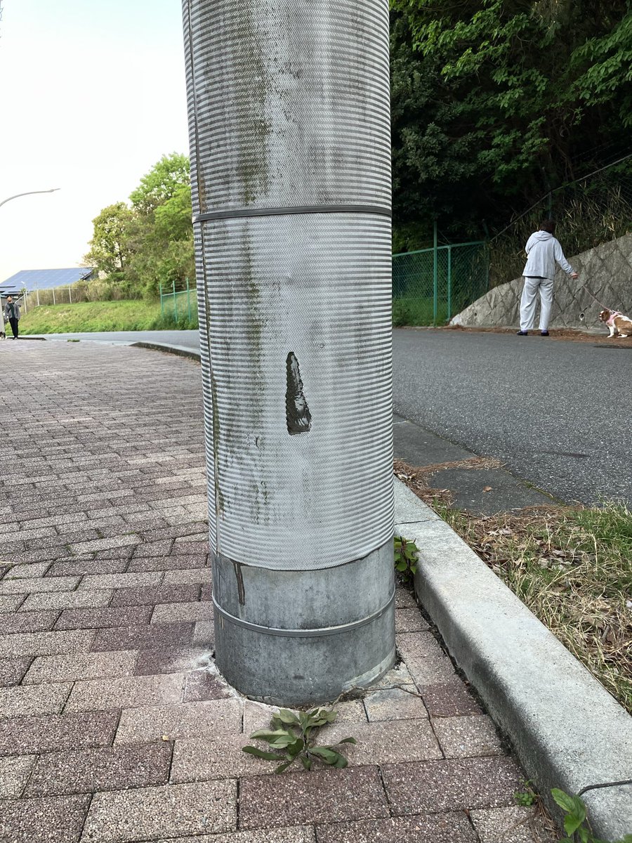 bamboogrove0720's tweet photo. モナリザやん https://t.co/EhXjBuvCzm