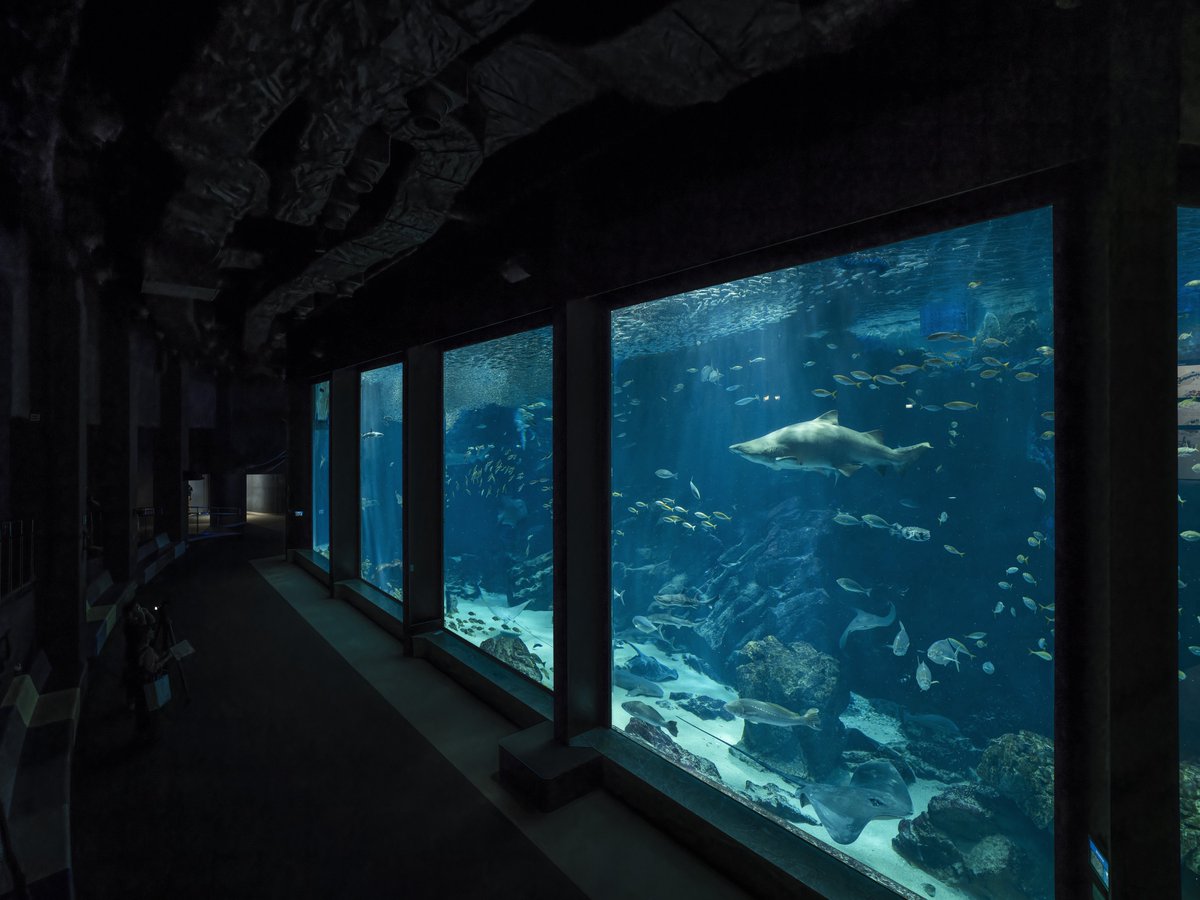 tsukarium's tweet photo. 「マリンワールド海の中道」の空間美 https://t.co/cZCwgVncNx