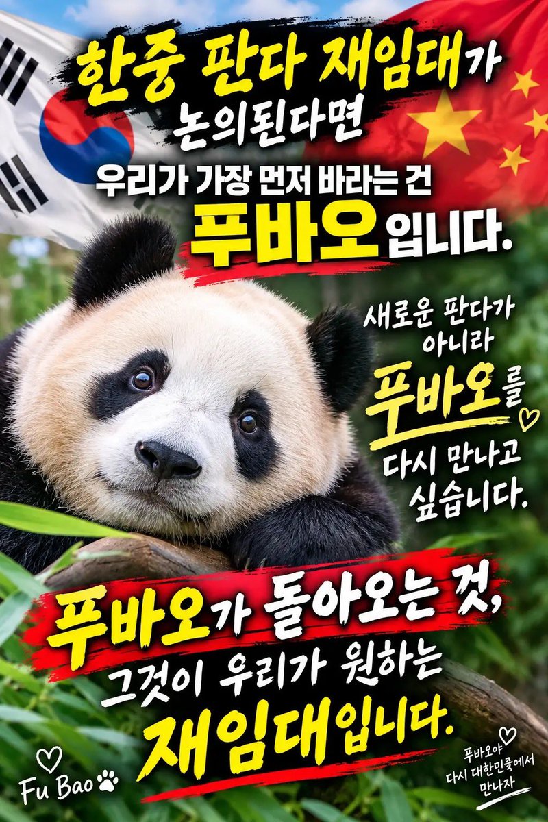 PUYS0720's tweet photo. 한중 판다 재임대가 논의된다면
우리가 가장 먼저 바라는 것은 푸바오입니다.

새로운 판다가 아닙니다.
또 다른 판다를 데려오는 것이 아닙니다.

우리가 다시 만나고 싶은 아이,
대한민국에서 태어나 사랑받고 자란 푸바오입니다.

푸바오가 다시 대한민국으로 돌아오는 것,
그것이 우리가 바라는 진정한 재임대의 의미입니다.

새로운 판다가 아닌 푸바오를.
다시 대한민국의 품으로 푸바오를.

한중 관계자 여러분,
우리의 간절한 마음을 외면하지 말아주세요.

푸바오가 돌아오는 것,
그것이 우리가 원하는 재임대입니다.

@Jaemyung_Lee @mofa_kr #푸바오재임대