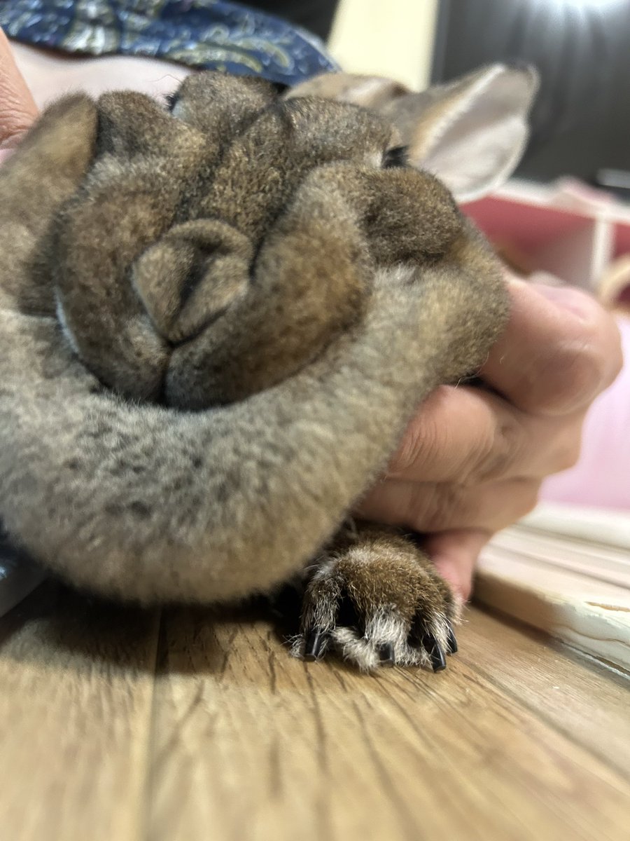 pinkxmi's tweet photo. 揉まれしおにく https://t.co/IHsUUCBDT0