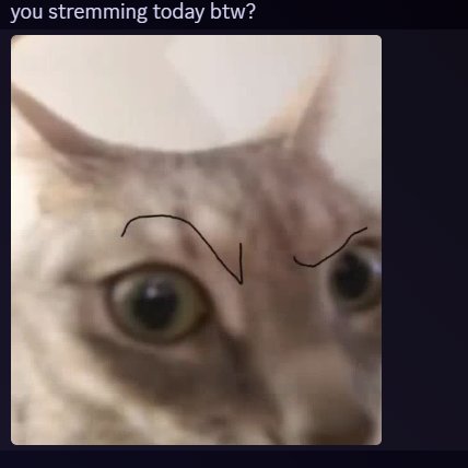 Hihsasuke's tweet photo. Whenever I don't feel like going live; I open discord, and realize I can't let them down. 😌 https://t.co/4yQ1rjXK27