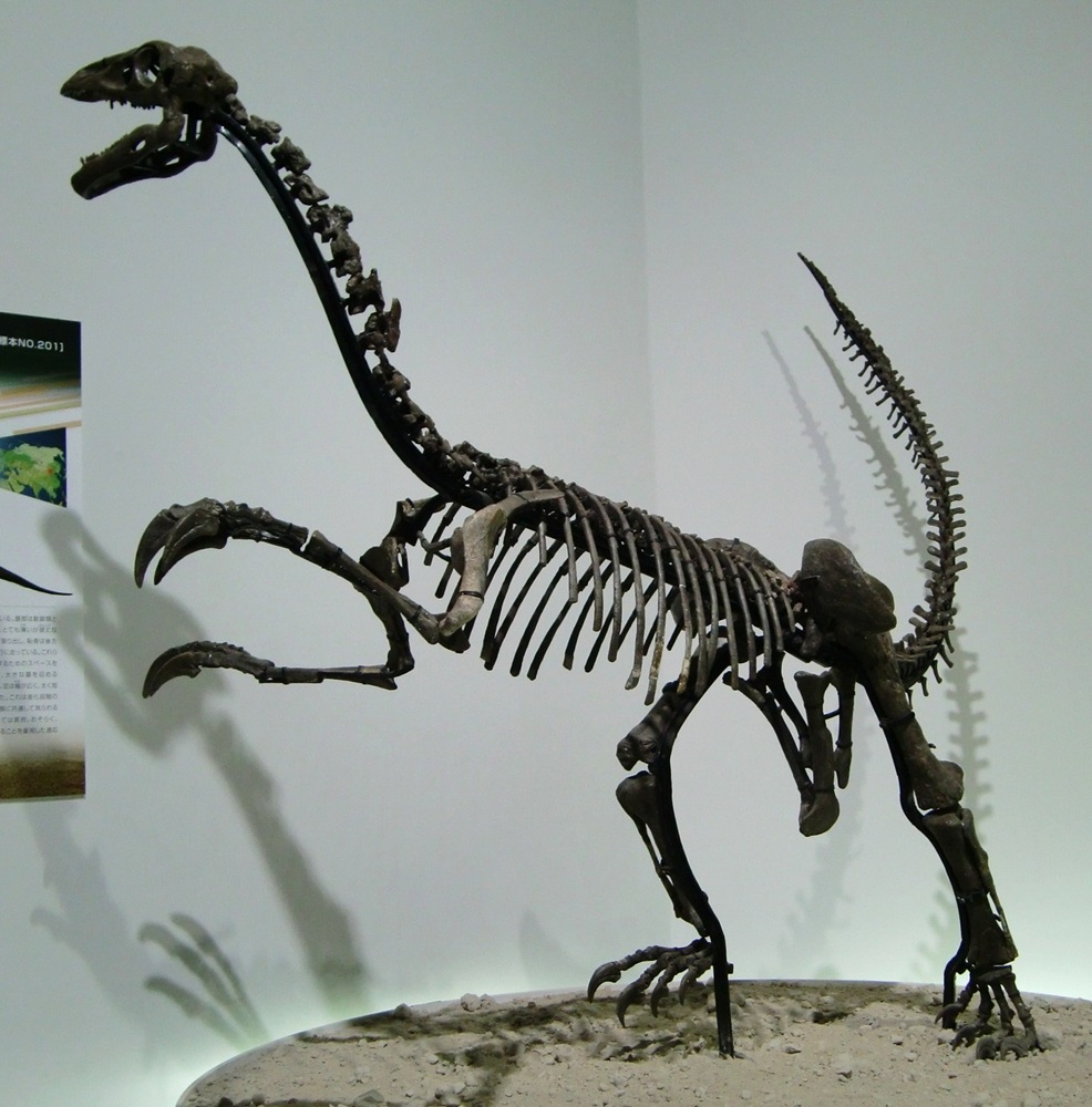 kta92751434's tweet photo. #Alxasaurus #アラシャサウルス
#Erliansaurus #エルリアンサウルス
#Falcarius #ファルカリウス
#Nothronychus #ノスロニクス https://t.co/J5F5Yr4sBP