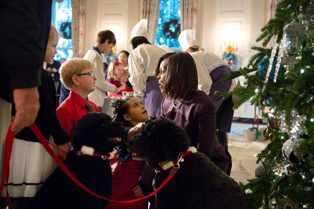 SunjayJK's tweet photo. Jan 28, 2014: First Lady @MichelleObama w/ #BoObama & #SunnyObama tape a spl video message greeting Ellen DeGeneres on her 56th birthday for @TheEllenShow;
Feb 10, 14: Bo & Sunny sit at State Dining Room table of the White House before Prez🇫🇷 @Elysee visit;
Dec 3, 14: #MichelleObama w/ her furry kids & children of military families at craft project held for the latter at the White House.
cc @BarackObama
From: https://t.co/oV6kAFHLYq