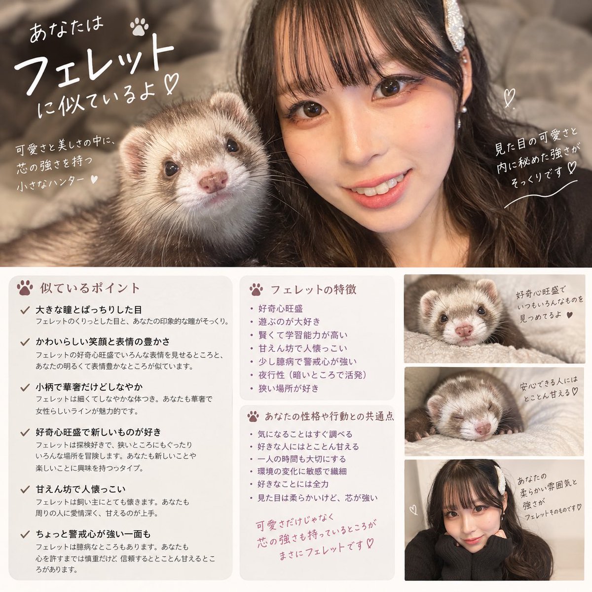 anz_0727's tweet photo. 流行ってる動物に例えるとのchatGPTのやつやってみた！
結果フェレットだった〜かわいいので嬉しいけど似てるかな？ᐡ ̳ᴗ ̫ ᴗ ̳ᐡ💕

#あなたを動物に例えると https://t.co/s3iTq3n6kD