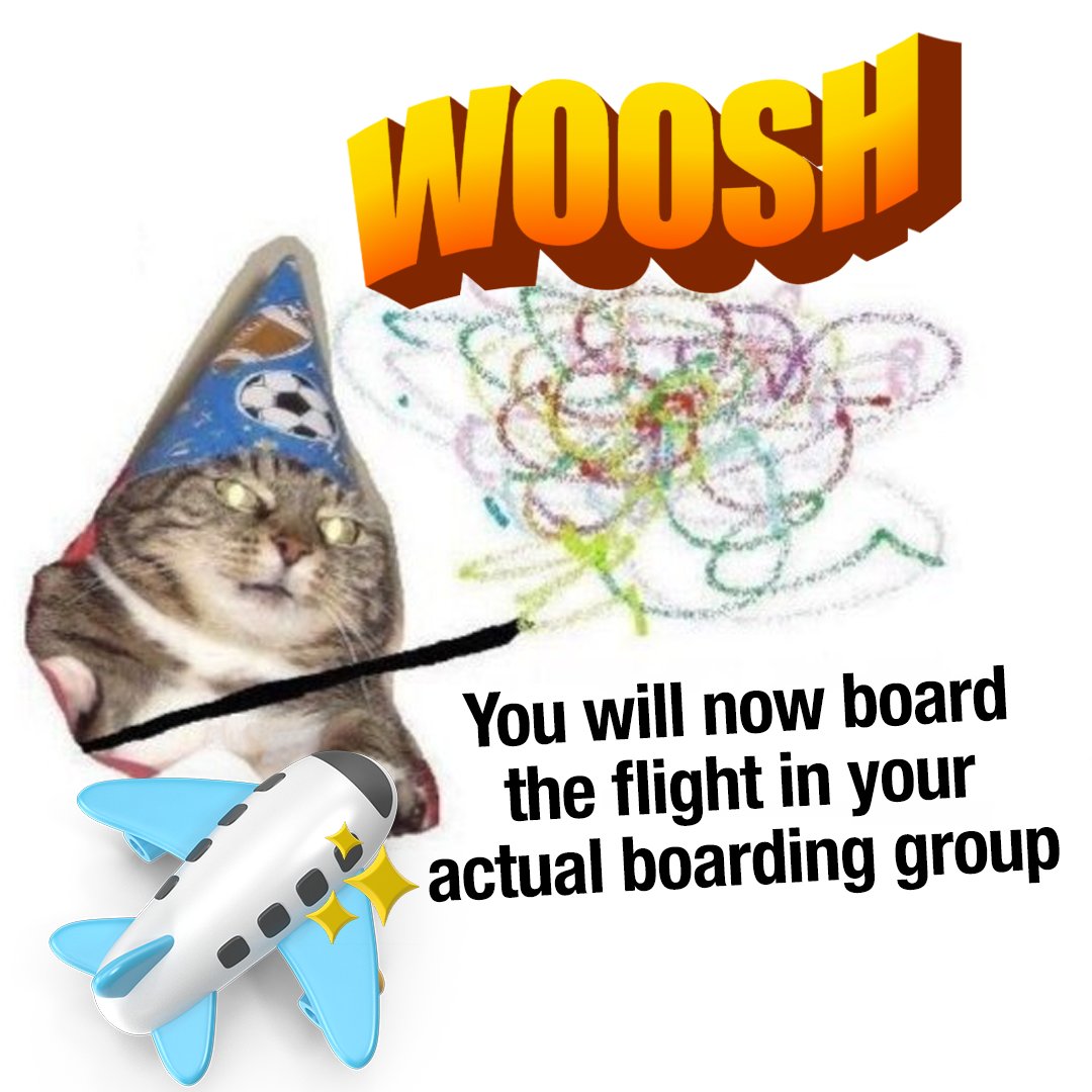 MCO's tweet photo. We're not kitten around here 😤 https://t.co/905MEG8UXD