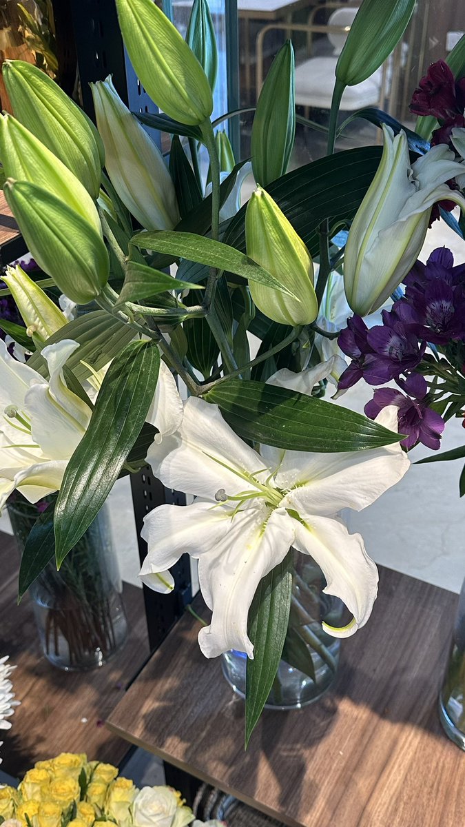 microjoud's tweet photo. 🩸￼🪞🌺☀️ https://t.co/MUHvY9SMyN