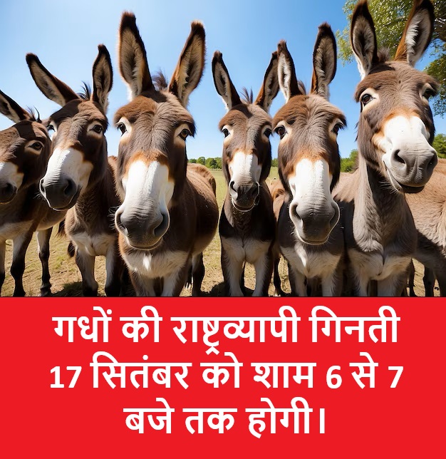sureshkapse's tweet photo. गधों की राष्ट्रव्यापी गिनती 17 सितंबर को शाम 6 से 7 बजे तक होगी। https://t.co/FejOi3xuDC