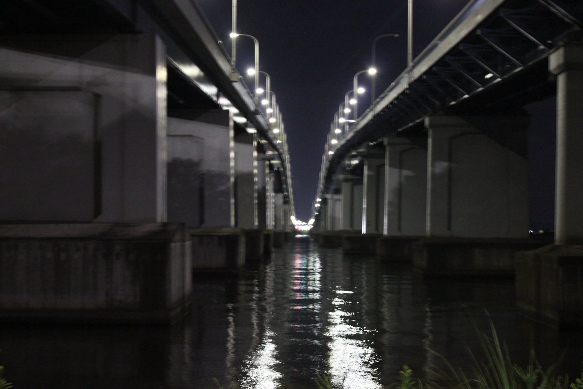 soft_peachcream's tweet photo. また撮影行きたい📸 https://t.co/bj9KGFMrQz