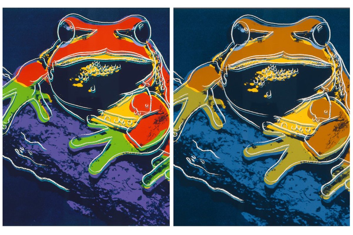 Two colorful frog illustrations by Andy Warhol. The left frog features red, orange, green, and purple hues, while the right frog has orange, yellow, blue, and purple tones. Both are set against dark backgrounds.
