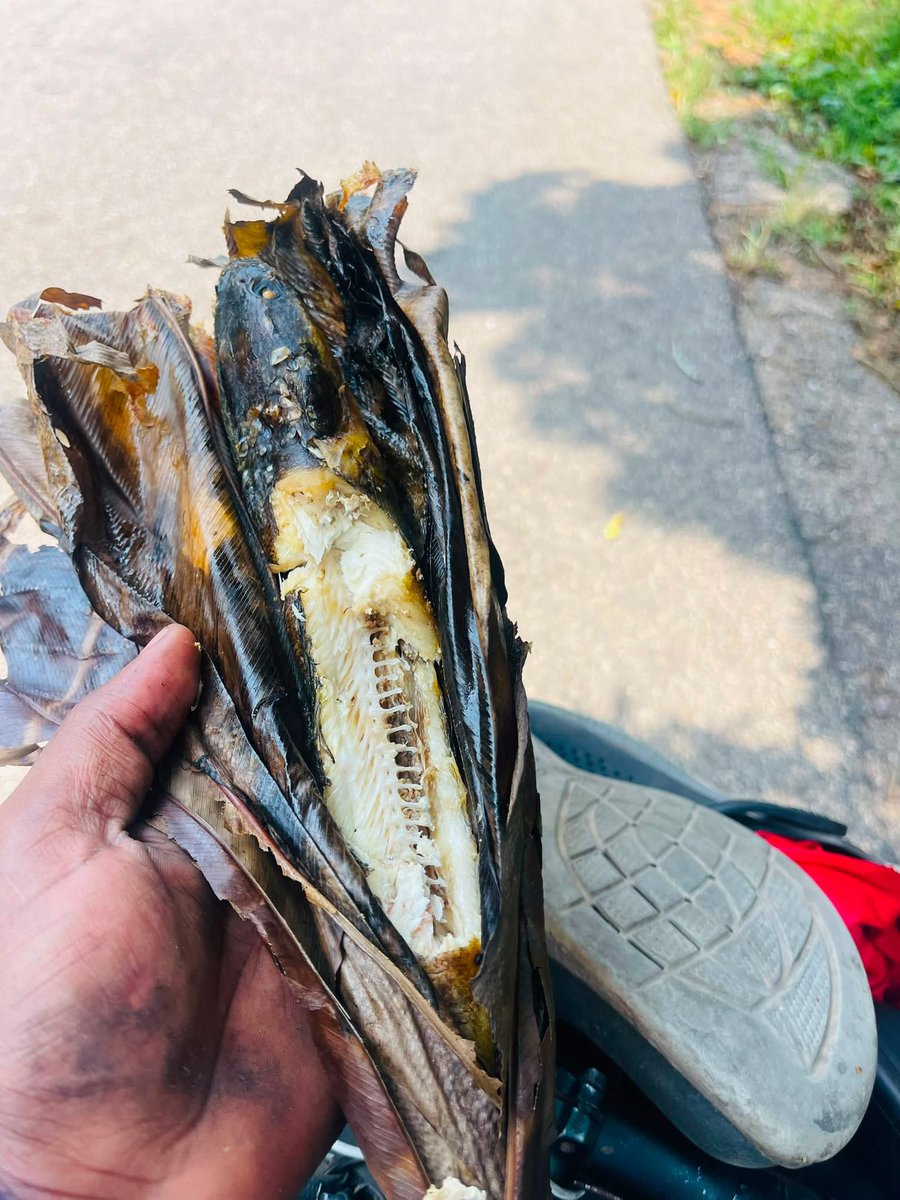 MiguelMasad's tweet photo. DAY 72 — OYO → OWANDO | 110 KM 🚴🏾‍♂️

Mais quelle journée… ❤️

Je me suis réveillé très tôt à Oyo avec un seul objectif : rejoindre Owando.

110 kilomètres aujourd’hui.

La route était plutôt plate, sans grandes montées. Mais il y avait un autre adversaire : la chaleur. ☀️ 35°C, très peu de villages sur la route et donc très peu de possibilités de ravitaillement.

La soif était forte. La chaleur aussi.

Mais on n’abandonne pas. 💪🏾

Et puis, à la jonction d’Obouya, quelque chose m’a profondément touché.

J’entends quelqu’un crier :

« Tour d’Afrique ! Tour d’Afrique ! »

Je m’arrête.

C’était un officier de police.

Il me regarde et me dit simplement :

« Mon frère, courage pour ton exploit. »

Puis il m’a acheté une bouteille d’eau. 🥹❤️

Une simple bouteille d’eau pour certains.

Mais pour moi, à cet instant, c’était beaucoup plus que de l’eau.

C’était un message.

Je traverse un pays avec le drapeau de la RDC sur mon vélo, mais au lieu de me voir comme un étranger, cet homme m’a vu comme son frère.

C’est exactement ce que je veux montrer avec Pedals for Peace.

Les frontières séparent les territoires, mais elles ne doivent jamais séparer les cœurs.

Plus tard, en arrivant à Owando vers 13h, quelques Congolais sont venus à ma rencontre. Certains m’ont dit qu’ils attendaient mon arrivée simplement pour me voir et m’encourager.

Franchement… comment ne pas continuer après ça ? 🙏🏾

J’ai aussi découvert Owando, une ville chargée d’histoire dans cette ville ioù 3 présidents ont fait leurs études, avant de visiter une rivière où se trouve cet arbre mystique dont on raconte qu’il se déplace dans l’eau.

Mais aujourd’hui, ce que je ramène avec moi, ce n’est pas seulement une nouvelle ville traversée.

Je ramène un geste. Un sourire. Une bouteille d’eau. Des encouragements.

Et la conviction que notre continent est rempli de personnes capables de se soutenir, peu importe leur nationalité.

Nous nous rapprochons maintenant de la frontière.

Dans quelques jours, une nouvelle étape commencera. 🇨🇲

On pédale ensemble.
Pour la paix. 
Pour l’unité. 
Pour montrer que nous pouvons être différents par nos frontières, mais un seul peuple par nos cœurs.