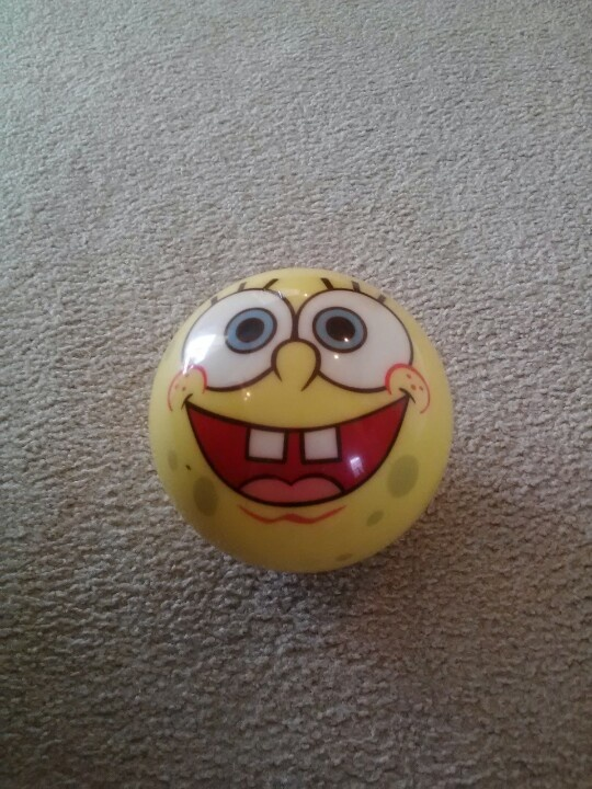 SpongeBobPNG's tweet photo. the sporb https://t.co/6vT5xkVAAN